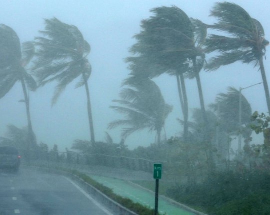 Lights Out: The Storm of the Century